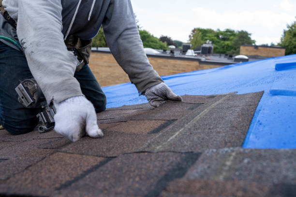 Roof Waterproofing Services